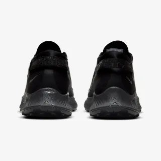 Nike PEGASUS TRAIL 2 GTX 