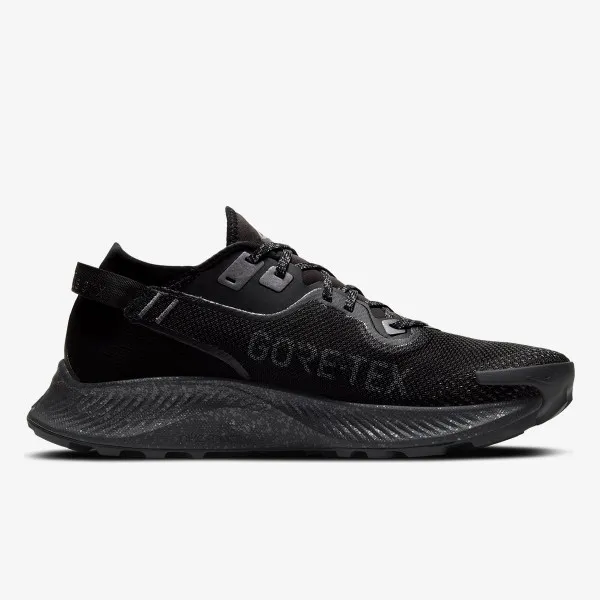 Nike PEGASUS TRAIL 2 GTX 