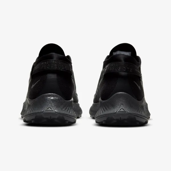 Nike PEGASUS TRAIL 2 GTX 