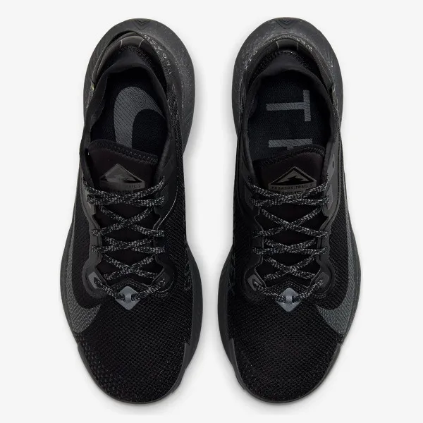 Nike PEGASUS TRAIL 2 GTX 