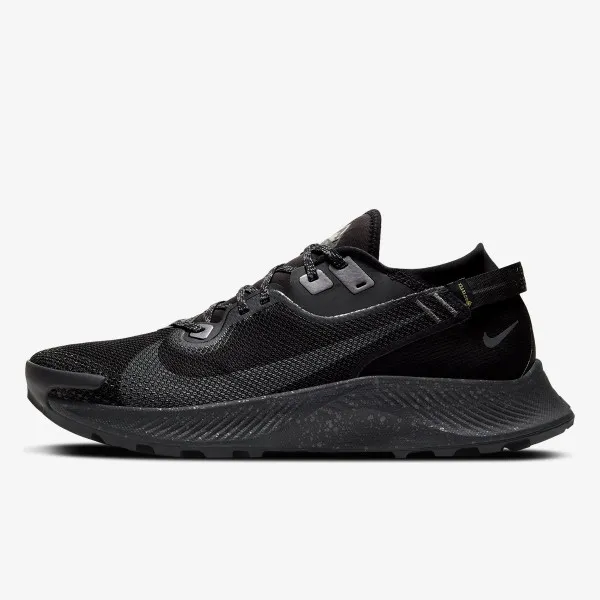Nike PEGASUS TRAIL 2 GTX 