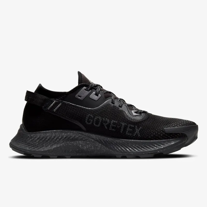 Nike PEGASUS TRAIL 2 GTX 