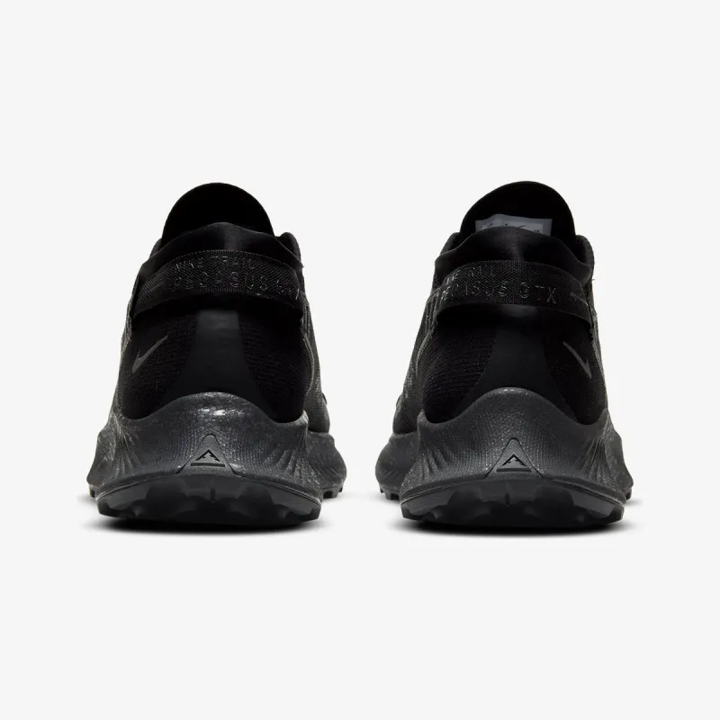 Nike PEGASUS TRAIL 2 GTX 