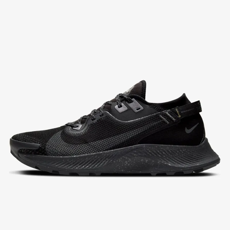 Nike PEGASUS TRAIL 2 GTX 
