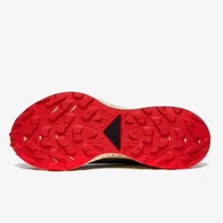 Nike PEGASUS TRAIL 2 GTX 