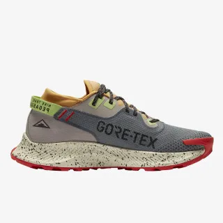 Nike PEGASUS TRAIL 2 GTX 