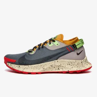 Nike PEGASUS TRAIL 2 GTX 