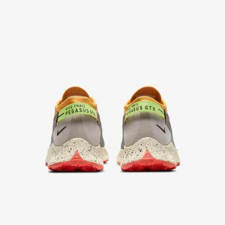 Nike PEGASUS TRAIL 2 GTX 