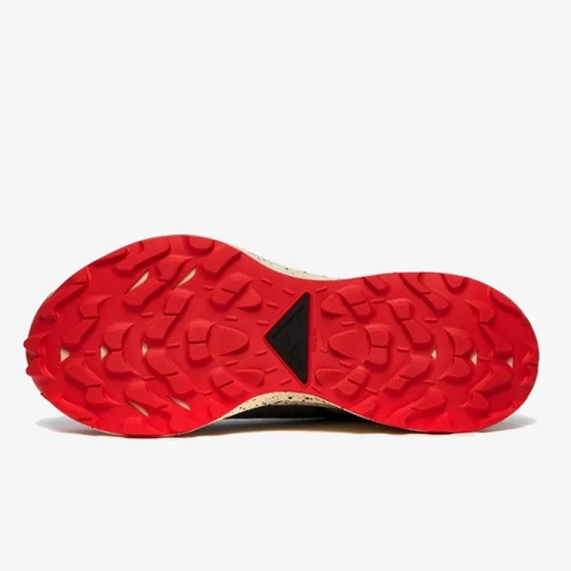 Nike PEGASUS TRAIL 2 GTX 