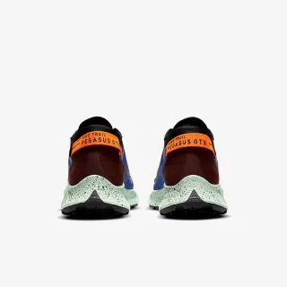 Nike NIKE PEGASUS TRAIL 2 GTX 