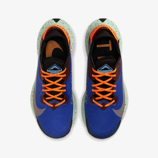 Nike Tenisice NIKE PEGASUS TRAIL 2 GTX 