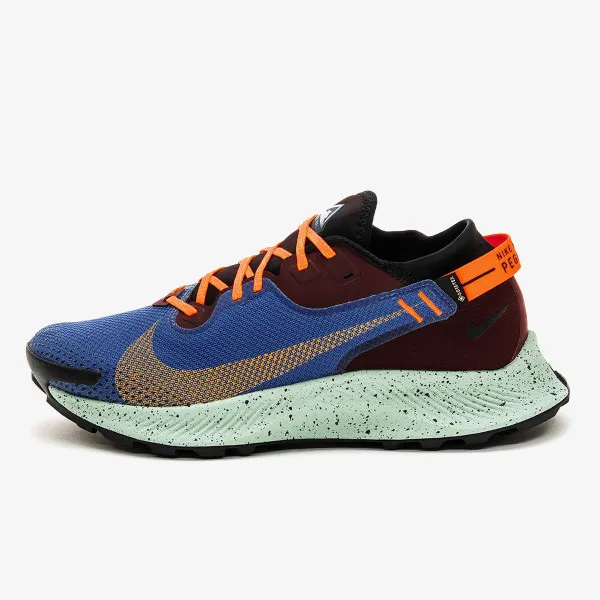 Nike Tenisice NIKE PEGASUS TRAIL 2 GTX 