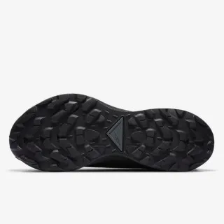 Nike W PEGASUS TRAIL 2 GTX 