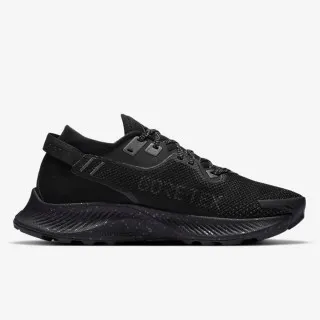 Nike W PEGASUS TRAIL 2 GTX 