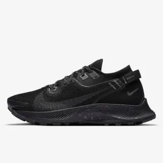 Nike W PEGASUS TRAIL 2 GTX 