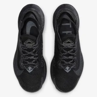 Nike W PEGASUS TRAIL 2 GTX 