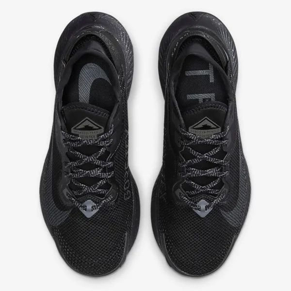 Nike W PEGASUS TRAIL 2 GTX 