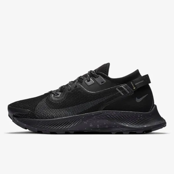 Nike W PEGASUS TRAIL 2 GTX 