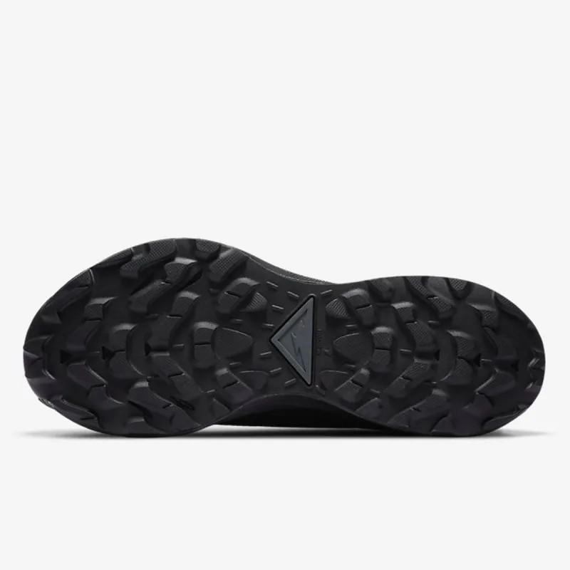Nike W PEGASUS TRAIL 2 GTX 