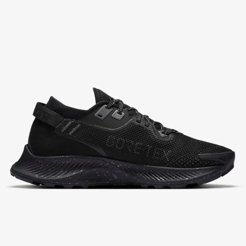 Nike W PEGASUS TRAIL 2 GTX 