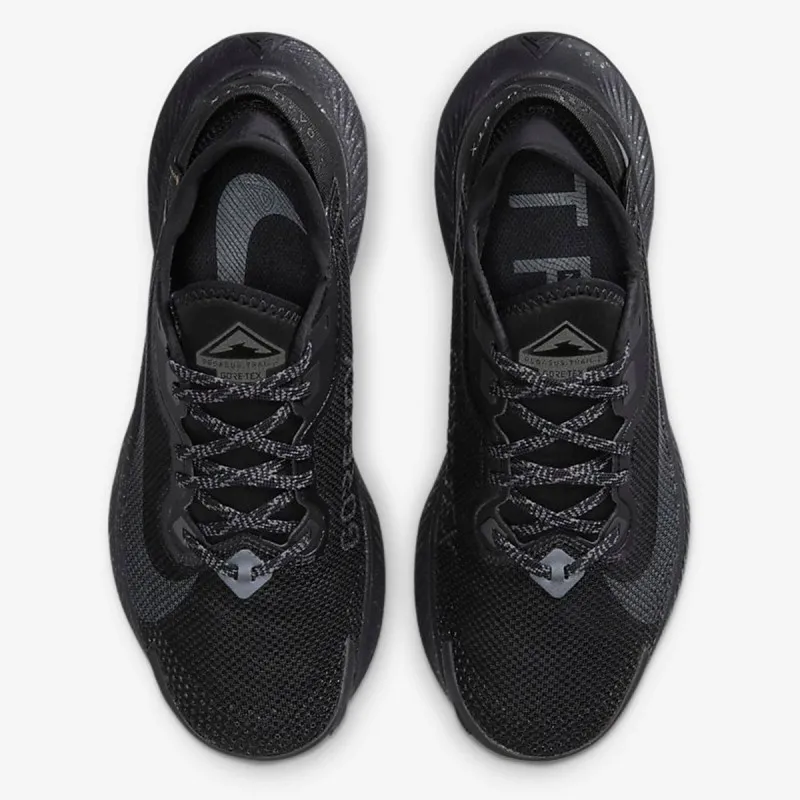 Nike W PEGASUS TRAIL 2 GTX 