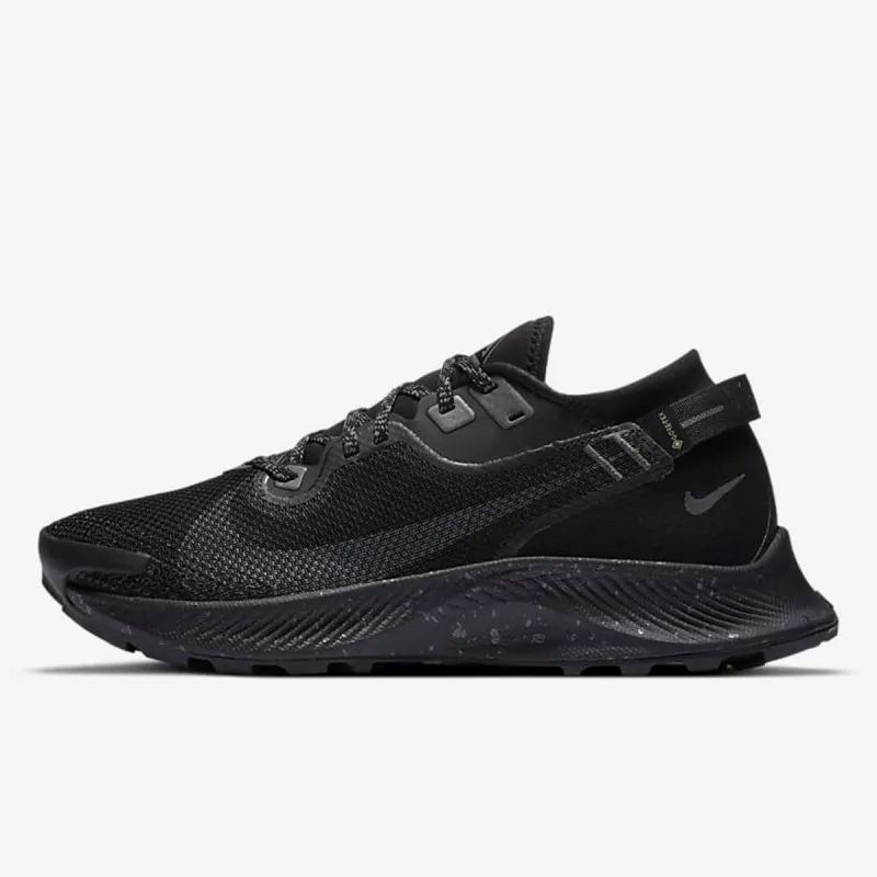 Nike W PEGASUS TRAIL 2 GTX 