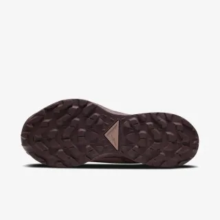Nike W NIKE PEGASUS TRAIL 2 GTX 