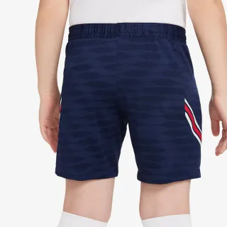 Nike Paris Saint-Germain Strike 