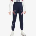 Nike Paris Saint-Germain Strike 