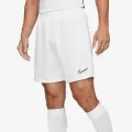 Nike Academy 