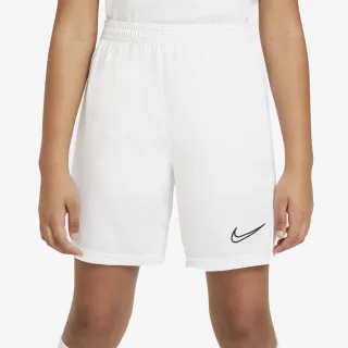 Nike Academy 