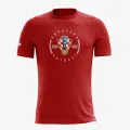 Nike T-shirt M NK PARK20 SS TEE Hrvatska 