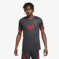 Nike LFC M NK BRT STRK TOP SS 