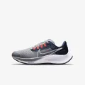 Nike Air Zoom Pegasus 38 
