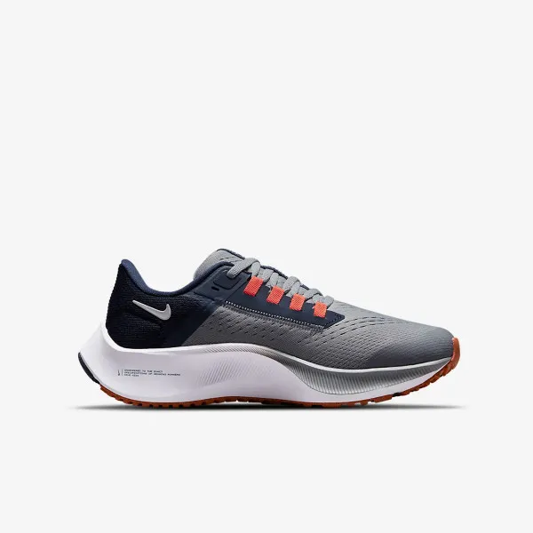 Nike Air Zoom Pegasus 38 