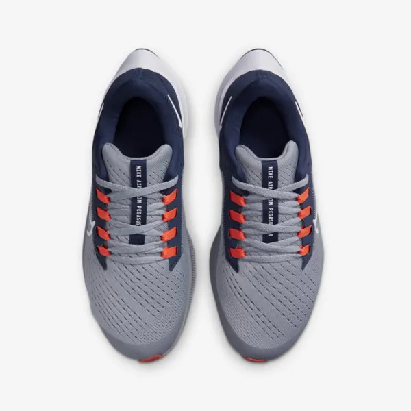 Nike Air Zoom Pegasus 38 