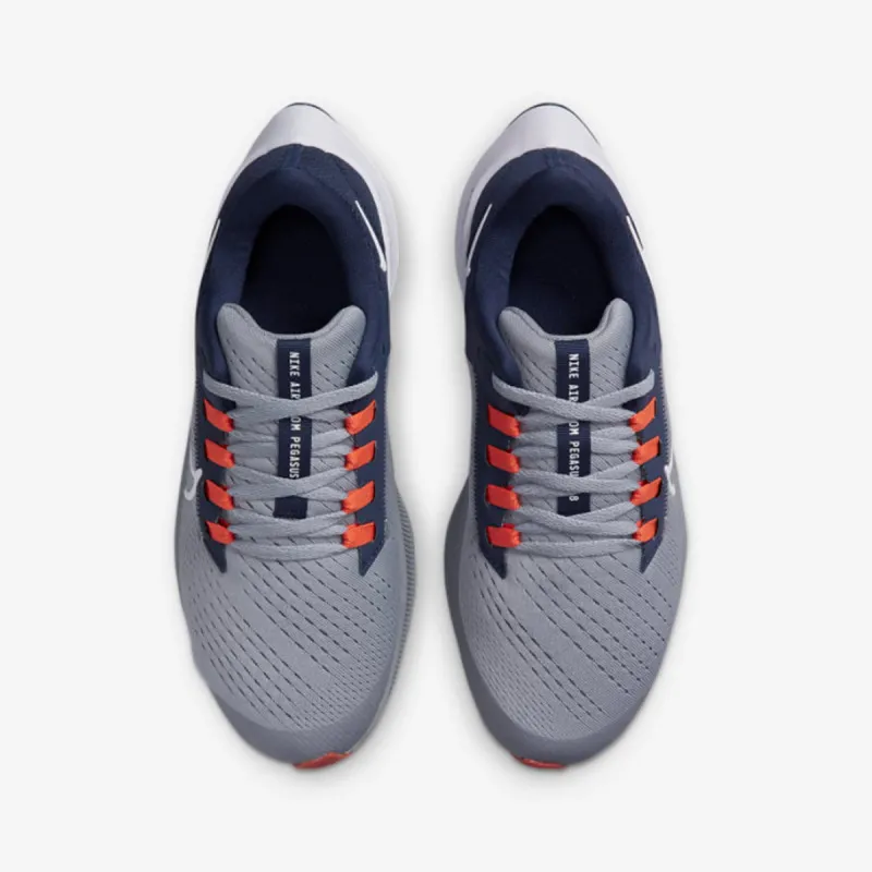 Nike Air Zoom Pegasus 38 