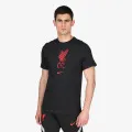 Nike PSIX M NK TEE EVERGREEN CREST 