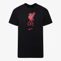 Nike Liverpool FC Evergreen Crest 