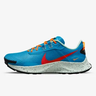 Nike PEGASUS TRAIL 3 
