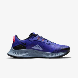 Nike Pegasus Trail 3 