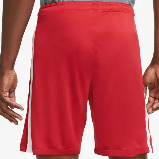 Nike PSIX M NK BRT STAD HM 