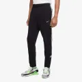 Nike SPORTSWEAR FLEECE 