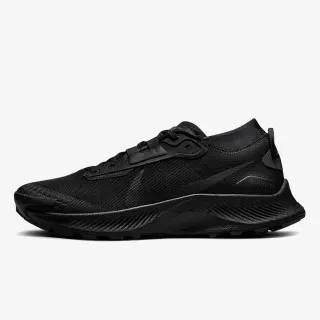 Nike Pegasus Trail 3 GORE-TEX 