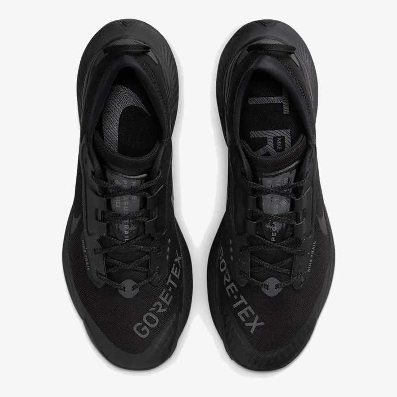 Nike Pegasus Trail 3 GORE-TEX 