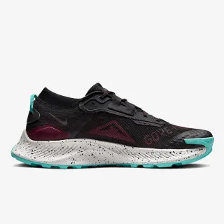 Nike Pegasus Trail 3 GORE-TEX 