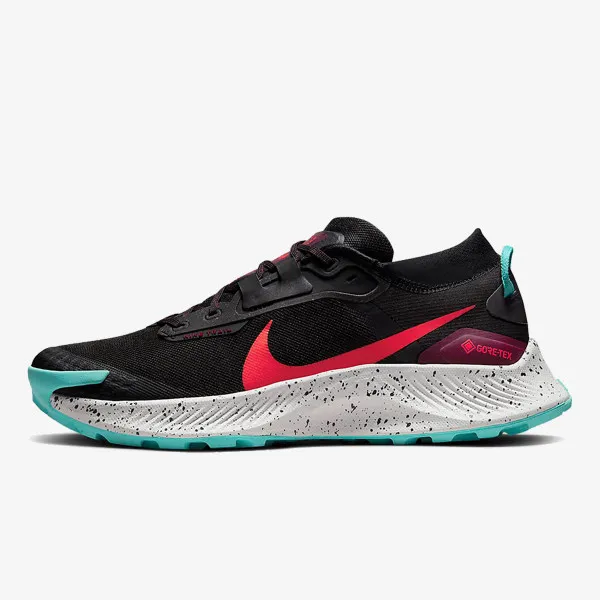 Nike Tenisice Pegasus Trail 3 GORE-TEX 