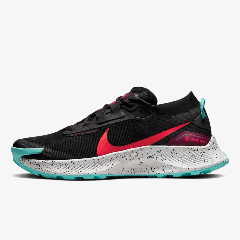 Nike Pegasus Trail 3 GORE-TEX 