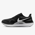 Nike Structure 25 