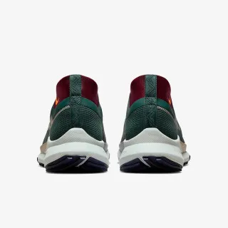 Nike Pegasus Trail 4 GORE-TEX 